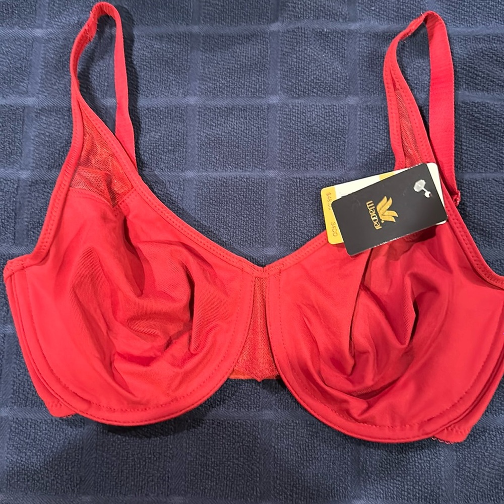Body by Wacoal Seamless Underwire Bra.  New with tags.  34DD